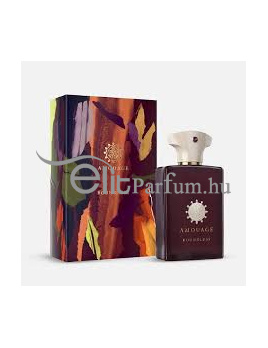 Amouage Boundless unisex parfüm (eau de parfum) Edp 100ml